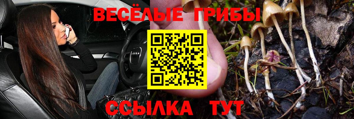 Галлюциногенные грибы прущие грибы  Вход с VPN  Норильск 